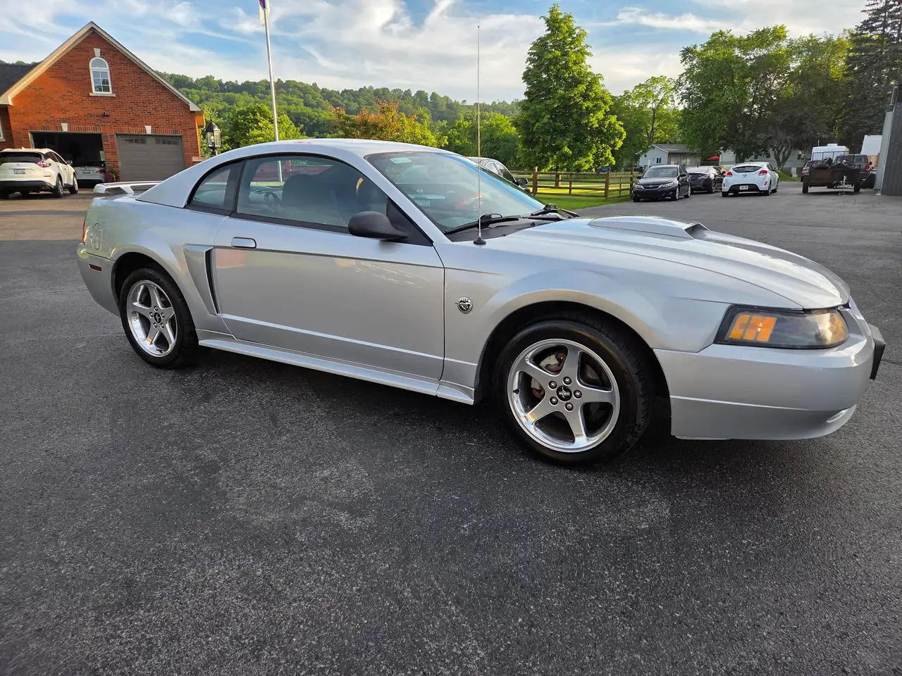 Ford Mustang fotografie Ford Mustang