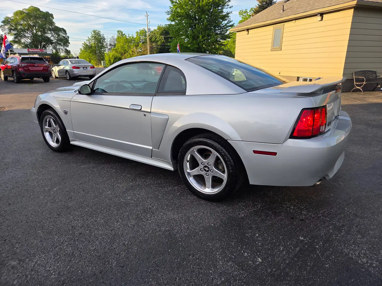 Ford Mustang fotografie Ford Mustang