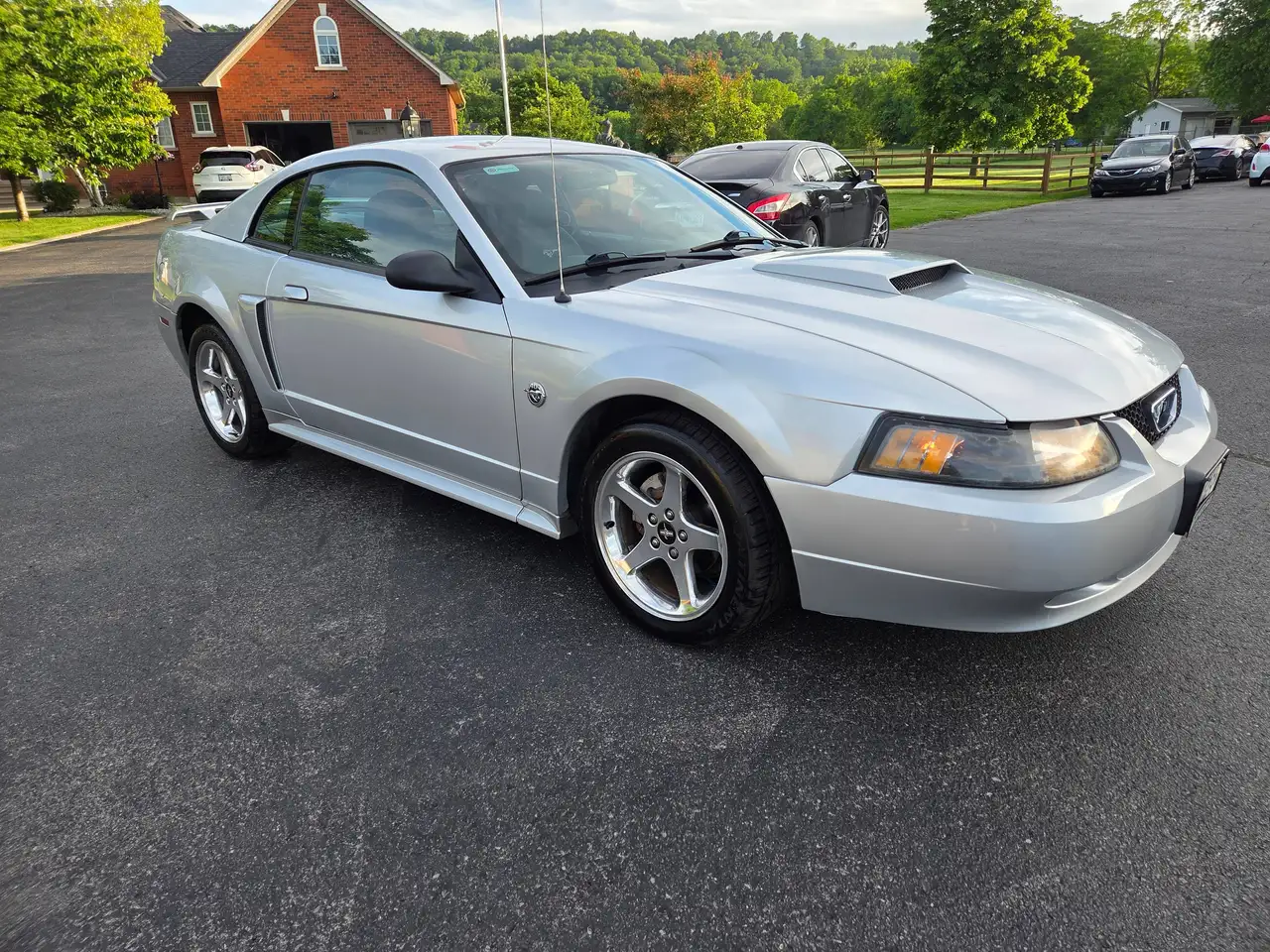 Ford Mustang fotografie Ford Mustang