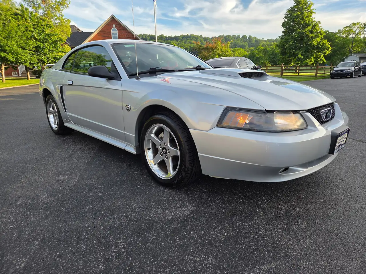Ford Mustang fotografie Ford Mustang