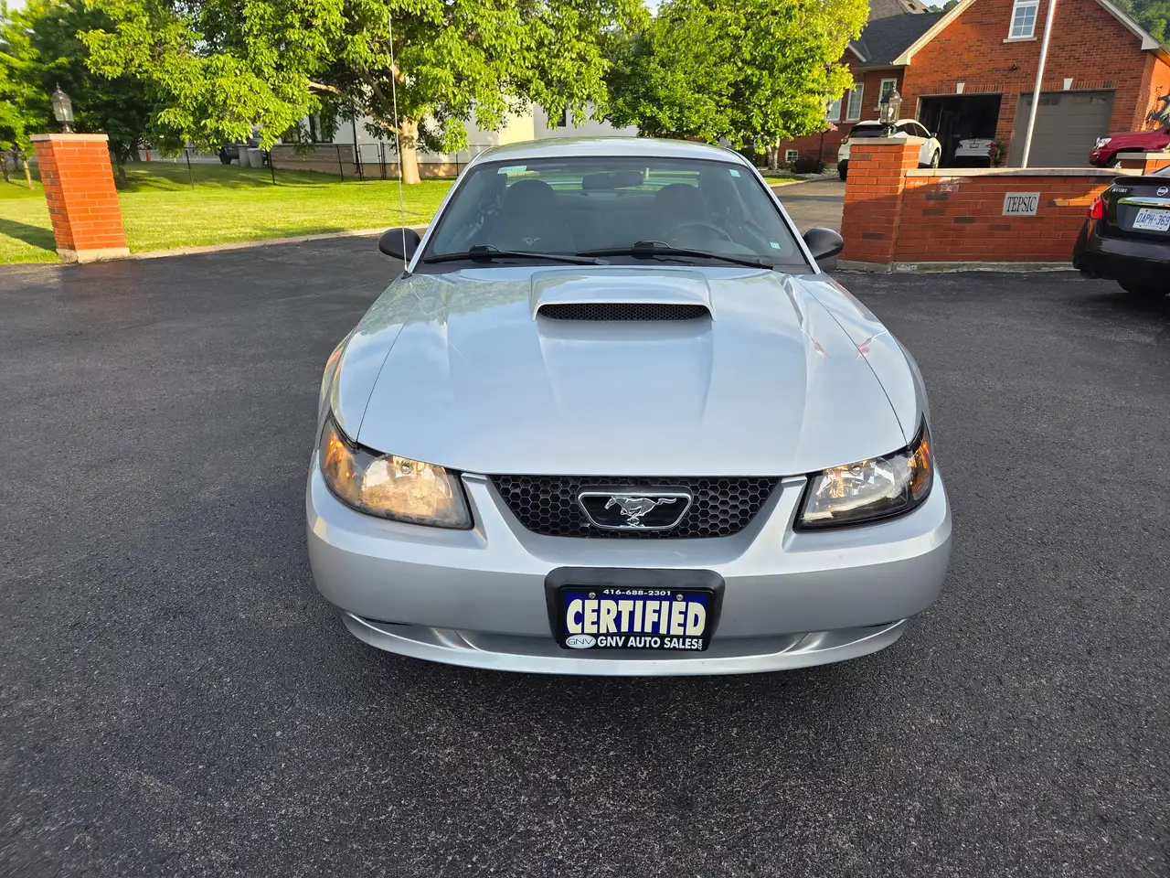 Ford Mustang fotografie Ford Mustang