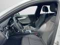 Audi A4 35 TDI S tronic NAVI PLUS ACC LED CAM White - thumbnail 12