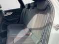 Audi A4 35 TDI S tronic NAVI PLUS ACC LED CAM White - thumbnail 14