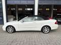 Mercedes-Benz CLK 320 Cabrio Avantgarde AUT./LEDER/CLIMA/TOPSTAAT Wit - thumbnail 5