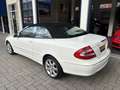 Mercedes-Benz CLK 320 Cabrio Avantgarde AUT./LEDER/CLIMA/TOPSTAAT Wit - thumbnail 6