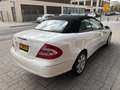 Mercedes-Benz CLK 320 Cabrio Avantgarde AUT./LEDER/CLIMA/TOPSTAAT Wit - thumbnail 8