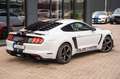 Ford Mustang GT/CS 5,0 Califronia Special GT 500 SHEL bijela - thumbnail 13