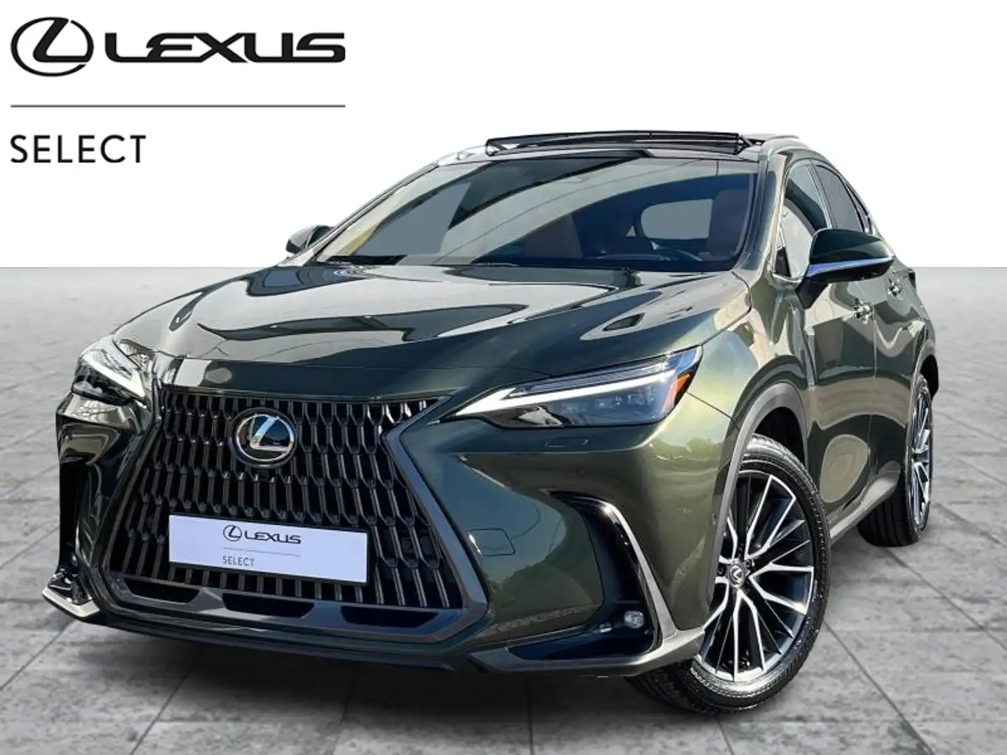 Lexus NX 350h Privilège - STOCK - NEW Verde - 1