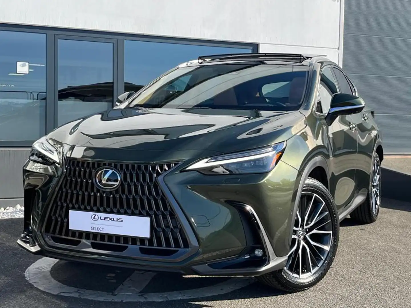 Lexus NX 350h Privilège - STOCK - NEW Verde - 2