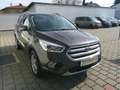 Ford Kuga 1,5 TDCi Titanium Start/Stop Grau - thumbnail 8