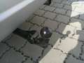 Ford Kuga 1,5 TDCi Titanium Start/Stop Grau - thumbnail 6