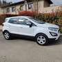 Ford EcoSport EcoSport 1.5 ecoblue Plus s Bianco - thumbnail 1