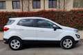 Ford EcoSport EcoSport 1.5 ecoblue Plus s Bianco - thumbnail 3