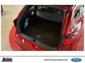 Ford Focus Turnier 2.3 EcoBoost Automatik ST X SCHIBEDACH LED Rot - thumbnail 8