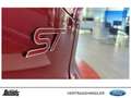 Ford Focus Turnier 2.3 EcoBoost Automatik ST X SCHIBEDACH LED Rot - thumbnail 20