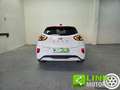 Ford Puma 1.0 EcoBoost Hybrid ST-Line X GARANZIA UFFICIALE Blanc - thumbnail 12
