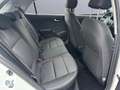 Kia Rio Edition 7 1.2 Allwetterreifen Klima SHZ LenkradHZG Weiß - thumbnail 9