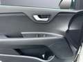 Kia Rio Edition 7 1.2 Allwetterreifen Klima SHZ LenkradHZG Weiß - thumbnail 25