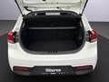 Kia Rio Edition 7 1.2 Allwetterreifen Klima SHZ LenkradHZG Weiß - thumbnail 16