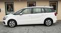Citroen Grand C4 Picasso /Spacetourer AHK PDC Carplay Wit - thumbnail 2