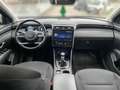 Hyundai TUCSON NX4 Trend Line 1,6 T-GDi 2WD 48V t1bt0 Grau - thumbnail 10