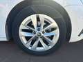 Skoda Octavia 2.0 TDI DSG *AHK *HEAD-UP *ACC *NAVIGATI Weiß - thumbnail 11