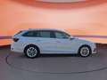 Skoda Octavia 2.0 TDI DSG *AHK *HEAD-UP *ACC *NAVIGATI Weiß - thumbnail 5