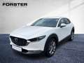Mazda CX-30 G122 COMF+ SO/ST/TE 360° NAVI LED HUD BOSE Weiß - thumbnail 1