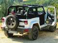 Jeep Wrangler Arctic Edition 2.8 CRD  200cv - 3 Porte Bianco - thumbnail 7