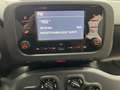 Fiat Panda Panda 1.0 FireFly S&S Hybrid Bianco - thumbnail 14