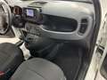 Fiat Panda Panda 1.0 FireFly S&S Hybrid Bianco - thumbnail 10