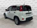 Fiat Panda Panda 1.0 FireFly S&S Hybrid Bianco - thumbnail 7