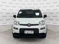 Fiat Panda Panda 1.0 FireFly S&S Hybrid Bianco - thumbnail 2