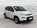 Fiat Panda Panda 1.0 FireFly S&S Hybrid Bianco - thumbnail 1