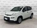 Fiat Panda Panda 1.0 FireFly S&S Hybrid Bianco - thumbnail 3