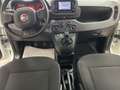 Fiat Panda Panda 1.0 FireFly S&S Hybrid Bianco - thumbnail 9