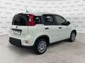 Fiat Panda Panda 1.0 FireFly S&S Hybrid Bianco - thumbnail 5