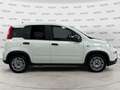 Fiat Panda Panda 1.0 FireFly S&S Hybrid Bianco - thumbnail 4