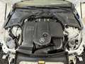 Mercedes-Benz C 220 C 220 d SHD/Navi/LED/Kamera/Parktronic/Sitzhzg. Blanc - thumbnail 34