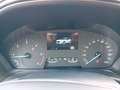 Ford Puma 1.5 EcoBlue TITANIUM X *AHK*LED*Kamera* Wit - thumbnail 12