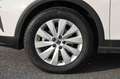 SEAT Arona 1.0 ecotsi Style 110cv dsg Blanc - thumbnail 10