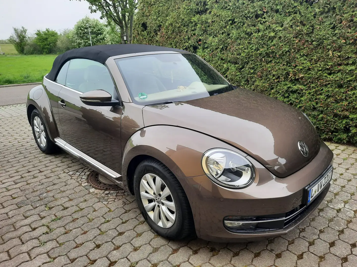 Volkswagen Beetle The Beetle The Cabriolet 1.2 TSI Braun - 1