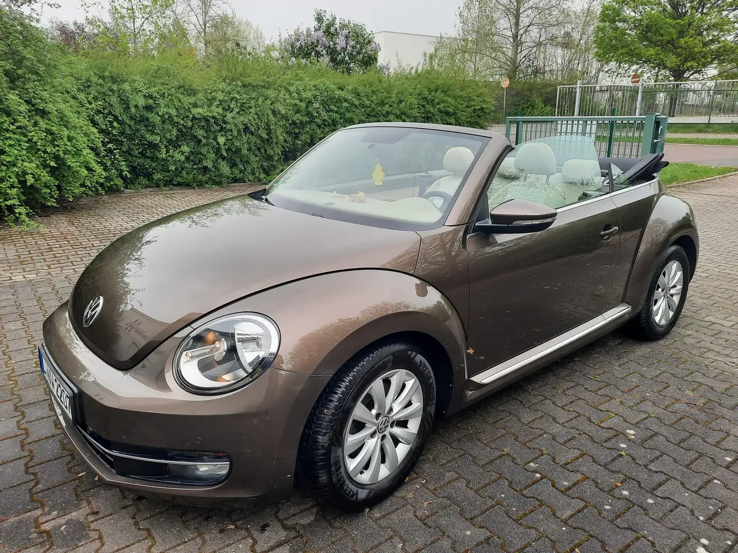 Volkswagen Beetle The Beetle The Cabriolet 1.2 TSI Braun - 2