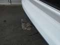 Volkswagen Golf Variant Life TDI Weiß - thumbnail 23