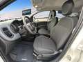 Fiat Panda 1.0 Gse Hybrid Pack Comfort Plus Blanco - thumbnail 10