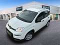 Fiat Panda 1.0 Gse Hybrid Pack Comfort Plus Blanco - thumbnail 25