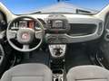 Fiat Panda 1.0 Gse Hybrid Pack Comfort Plus Blanco - thumbnail 9