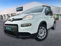 Fiat Panda 1.0 Gse Hybrid Pack Comfort Plus Blanco - thumbnail 28