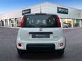 Fiat Panda 1.0 Gse Hybrid Pack Comfort Plus Blanco - thumbnail 6