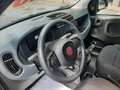 Fiat Panda 1.0 hybrid 70cv km zero nessun vincolo Nero - thumbnail 7